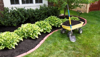 Design de Jardinagem