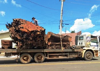 Serviços para Órgãos Públicos